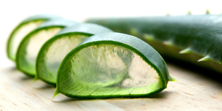 Aloe vera, remediul natural pentru pielea ta